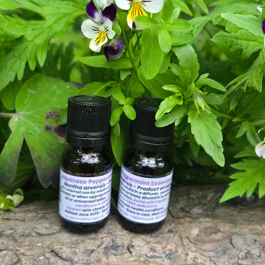 Peppermint, Japanese
